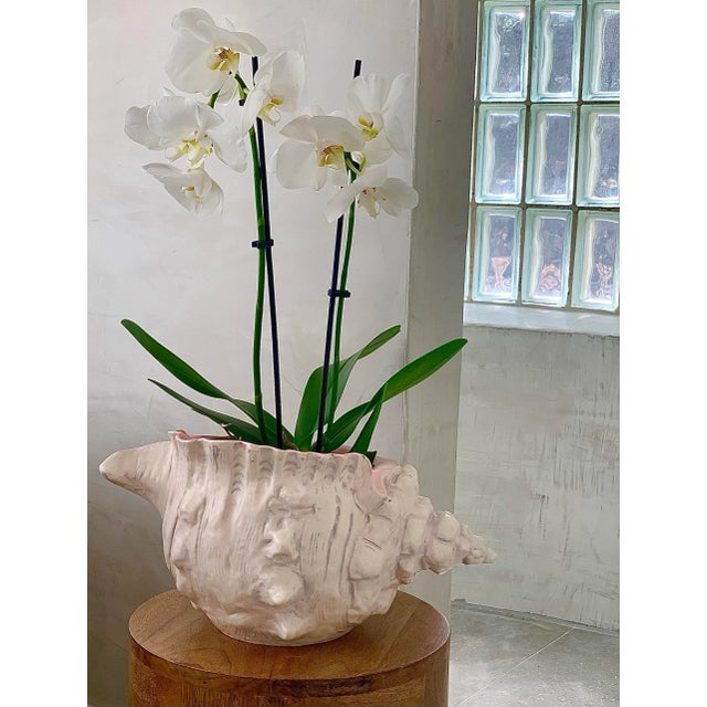 1978 Vintage Hollywood Regency Ceramic Conch Beach Shell Pink Coastal Cachepot, Planter For Sale In San Antonio - Image 6 of 12