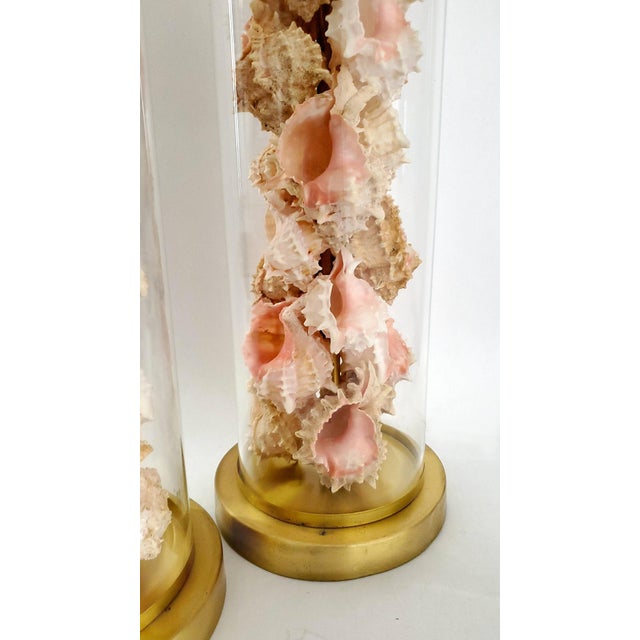 Brass Lamps by Ralph Lauren Signed Pair With Shells Seashells Added For Sale - Image 8 of 17