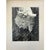 Paul Dunckhorst "Oscar" Original Black & White Photograph, c.1943 Exhibited at the Fourth Annual North American Salon An...
