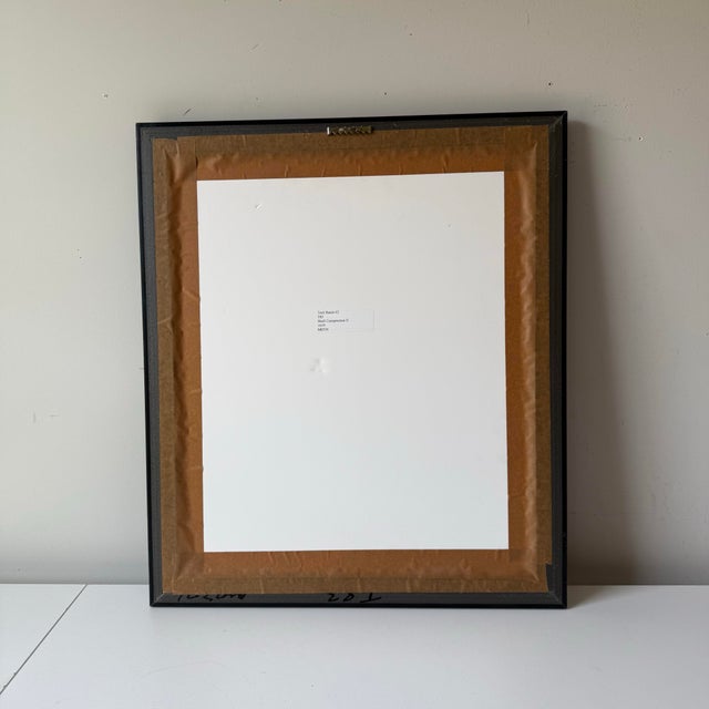 1990s 1990s Carl Hoffmann Framed "Conchylien Ii" Shell Print For Sale - Image 5 of 5