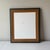 1990s 1990s Carl Hoffmann Framed "Conchylien Ii" Shell Print For Sale - Image 5 of 5