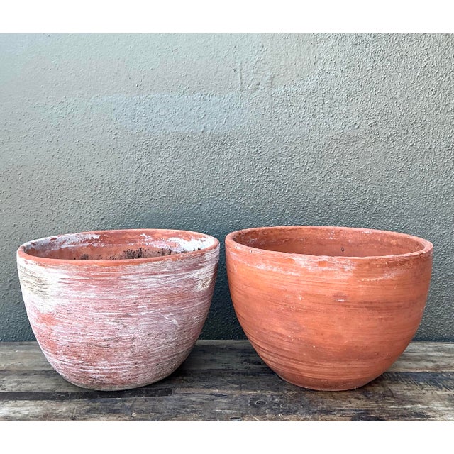 Vintage Washed Terracotta Planter Bowls - Set of 2 For Sale - Image 11 of 12