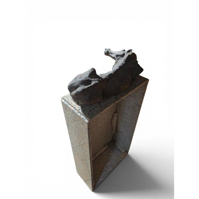 Ceramic Greek Horse Sculpture on Granite Base by Alfredo Lanz, Italy, 1950s For Sale - Image 7 of 12