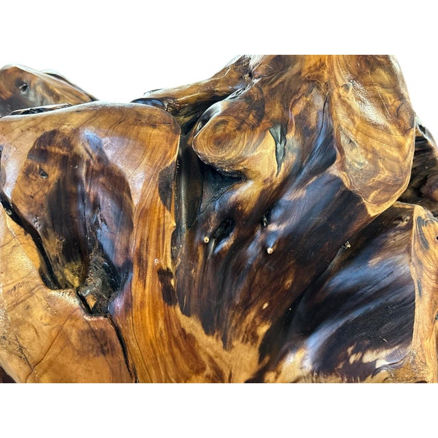 Amorphic Handcrafted Root Wood Wine Rack For Sale - Image 9 of 9