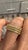 Yellow Yellow Sapphire Band 14 Karat Rose Gold by Roshe Jewels, 2.46 Carats, Size 7 For Sale - Image 8 of 9