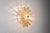 Bolide Wall Lamp by Hermian Sneyders De Vogel for Raak, 1960s For Sale - Image 13 of 13