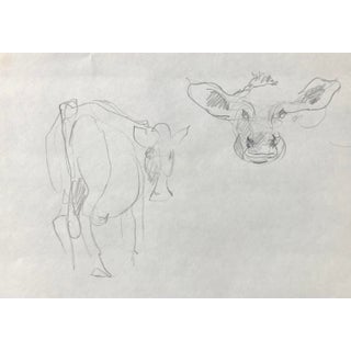 1980s John Reilly Drawing Study of Cows For Sale