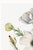 Paper Matilija Poppy, Vintage Botanical Art Print Reproduction by Mary Vaux Walcott, 24″ × 36″ For Sale - Image 7 of 10