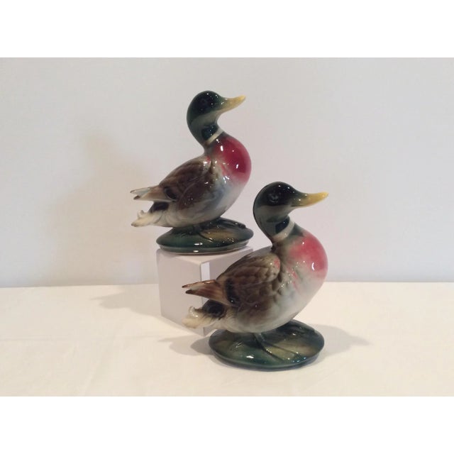 Mid 20th Century Royal Copley, a.d. Priolo Ceramic Mallard Duck Figurines - Set of 2 For Sale - Image 5 of 11