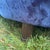 Blue Late 20th Century Modern Style Chaise Longue For Sale - Image 8 of 10