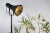 Black Pressed Wood Floor Light by Johannes Hemann For Sale - Image 4 of 5