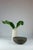 Strand after strand, the clay stratifies like a memory deposited over time. Marble holds the silent weight of ages, of...