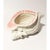 This charming vintage ceramic cachepot, shaped like a majestic conch shell, will add timeless coastal elegance to your...
