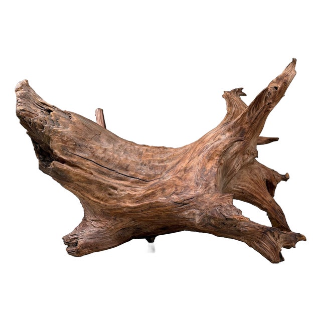 Japanese Koboku Root Wood Sculpture, 1960s For Sale