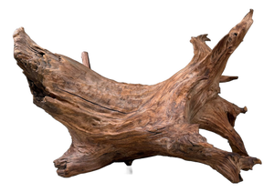 Japanese Koboku Root Wood Sculpture, 1960s