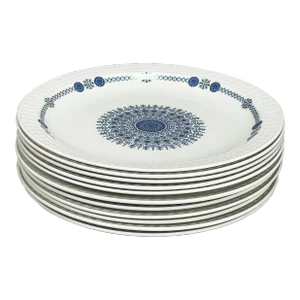 Vintage Pontesa Castillian Collection Ironstone Dinner Plates - Set of 11