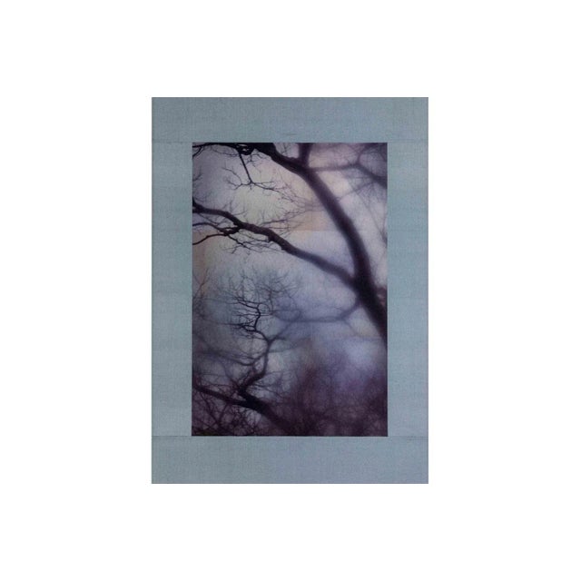 UV print of digital photograph on pewter leaf on paper, mounted in Japanese silk scroll Kojun is an self-taught multimédia...