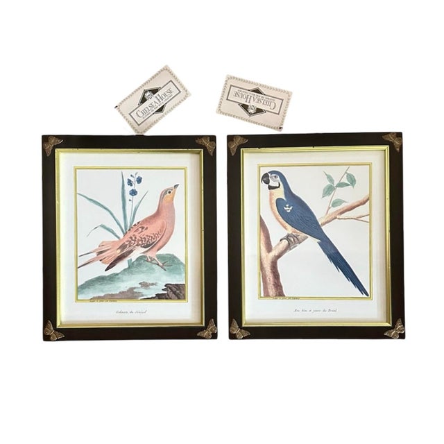A lovely pair of framed ornithological prints by Chelsea House. Features a wood grouse and a blue & yellow macaw from...