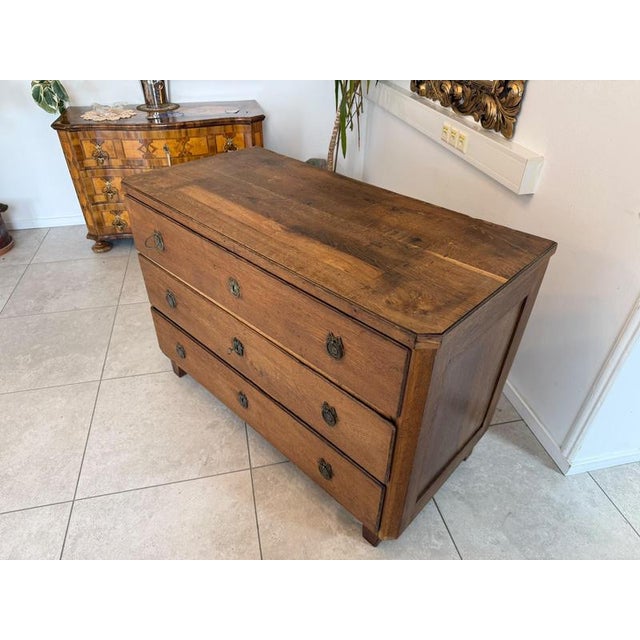 Biedermeier Chest of Drawers in Pine For Sale - Image 4 of 14