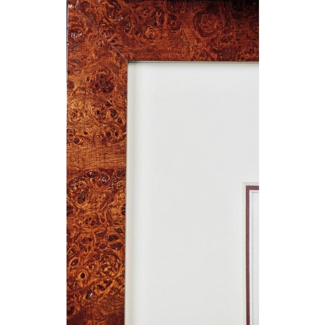 Sculpture Materials A Pair of Hand Colored Engravings of an African Lioness and Her Cubs and a Rhino, 1775 For Sale - Image 7 of 12