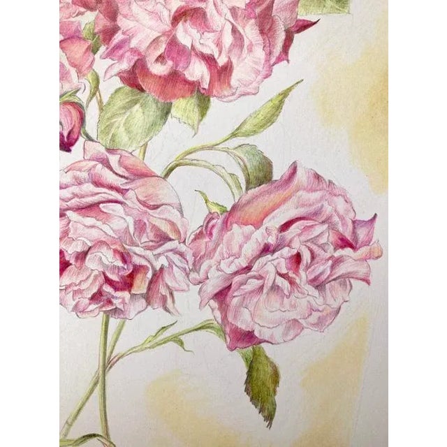 Paper Vintage Style Floral, "Climbing Rose" Original Mixed Media Drawing For Sale - Image 7 of 7