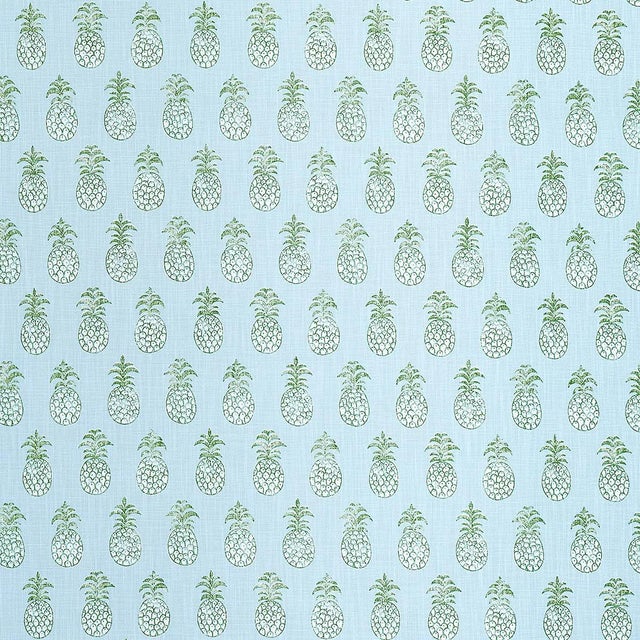 Schumacher Piña Cove Indoor/Outdoor Fabric in Aquamarine For Sale