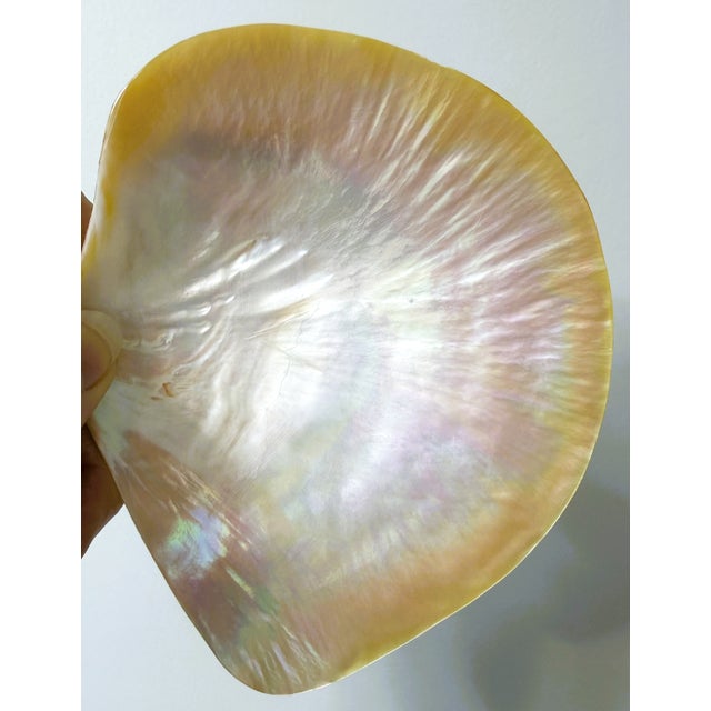Late 20th Century Vintage Mother of Pearl Caviar Dishes and Spoons For Sale - Image 5 of 16