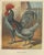 The Andalusian Chicken, 1888, Print For Sale - Image 6 of 10