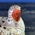 1990s Vintage Mottahedeh Bird on Nest Lidded Figurine Stately Homes Sir Humphrey Trinkle Box For Sale - Image 5 of 9
