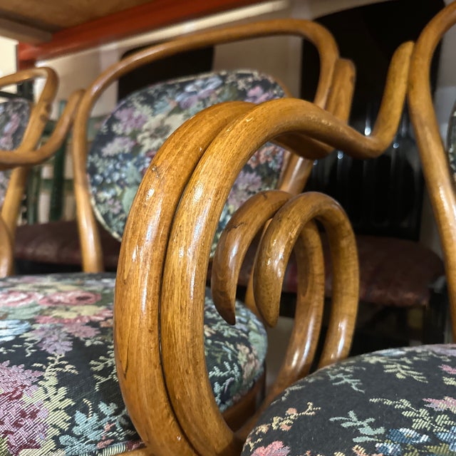 1970s Collection of Floral Cushioned Bentwood Looped Arms Dining Chairs- Set of 4 For Sale - Image 11 of 11