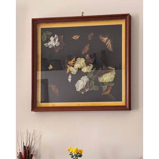 Vintage Italian-Framed Butterfly Specimen Shadowbox, Ronchetti of ...