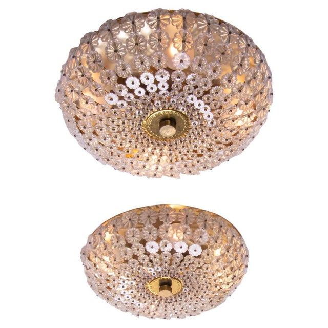 Gold Floral Glass and Brass Flush Mounts, 1950, Set of 2 For Sale - Image 8 of 8