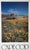 Vintage 1979 Kennedy Studios Poster of Cape Cod ~ Framed For Sale - Image 4 of 8