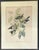 Early American, North American Bird Prints, Framed For Sale In New York - Image 6 of 11