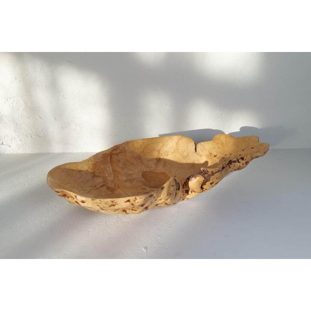 Large Swedish Folk Art Burl Curly Birch Bowl, 1980s For Sale - Image 13 of 16