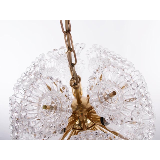 10-Light Flower Sputnik Chandelier in Murano Glass & Brass in the style of Venini, 1960s For Sale - Image 6 of 11