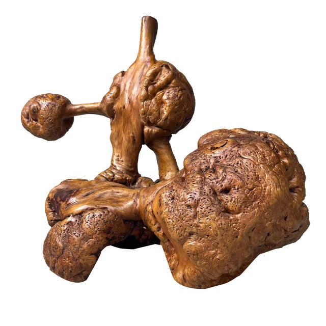 Japanese Meiji Wabi-Sabi Burl Wood Piece For Sale