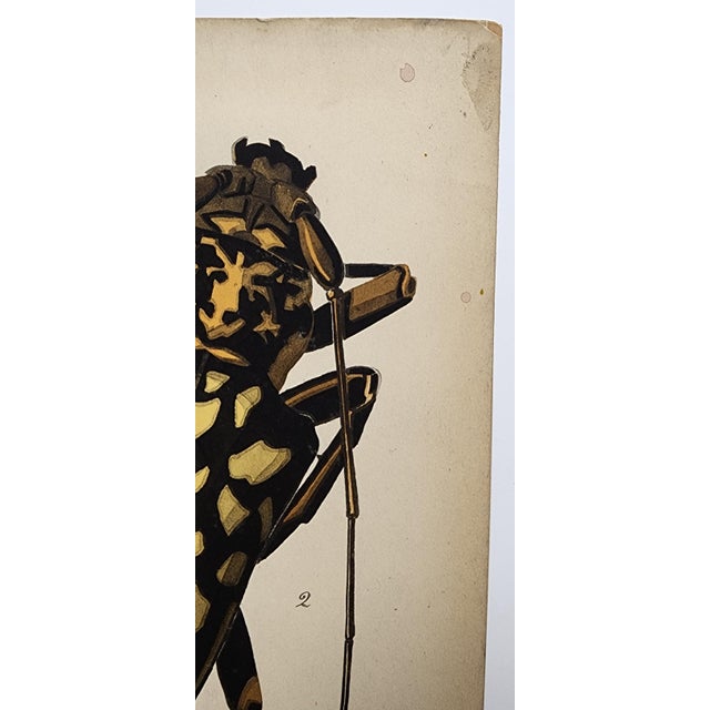 Original Seguy Insect From 1924 Antique Pochoir Plate #4 For Sale - Image 4 of 12