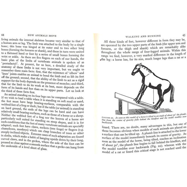 "How Animals Move: The Royal Institution Christmas Lectures 1951" 1953 Gray, James For Sale - Image 10 of 11