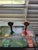 Caribbean Parrot Wall Art For Sale - Image 13 of 18