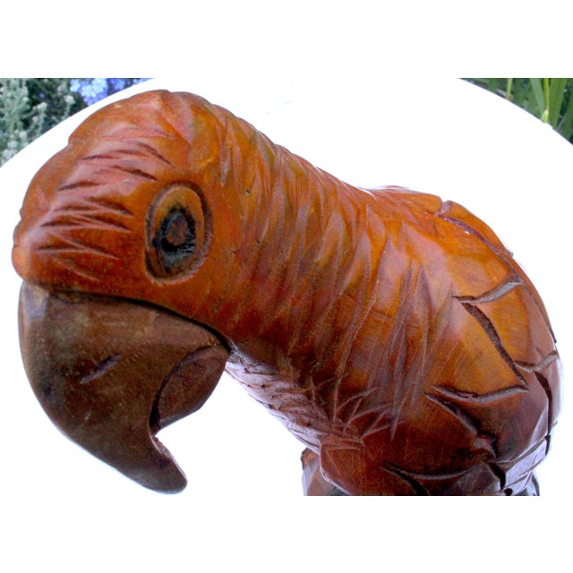 Hand-Carved Hardwood Macaw Parrot Sculpture Vintage 1970s - Peruvian For Sale - Image 14 of 14
