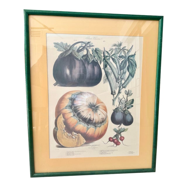 Antique French Vegetables Print For Sale