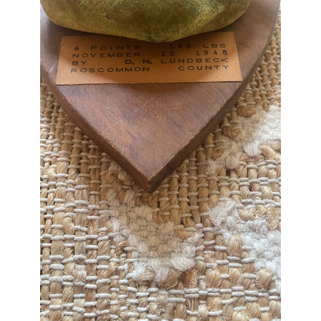 1948 Wall Hanging Vintage Antler Wall Hanging Plaque Mount With Velvet For Sale In Chicago - Image 6 of 11