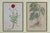1960s Antique Trio of Framed Double-Print Renaissance Botanical Wall Art For Sale - Image 5 of 18