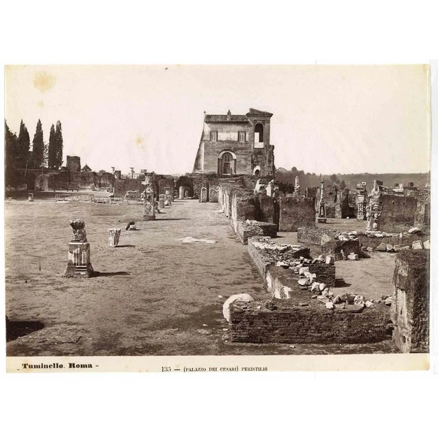 Palazzo dei Cesari is a vintage print in salt silver realized by Ludovico Tuminello in the early 20th Century. Titled on...