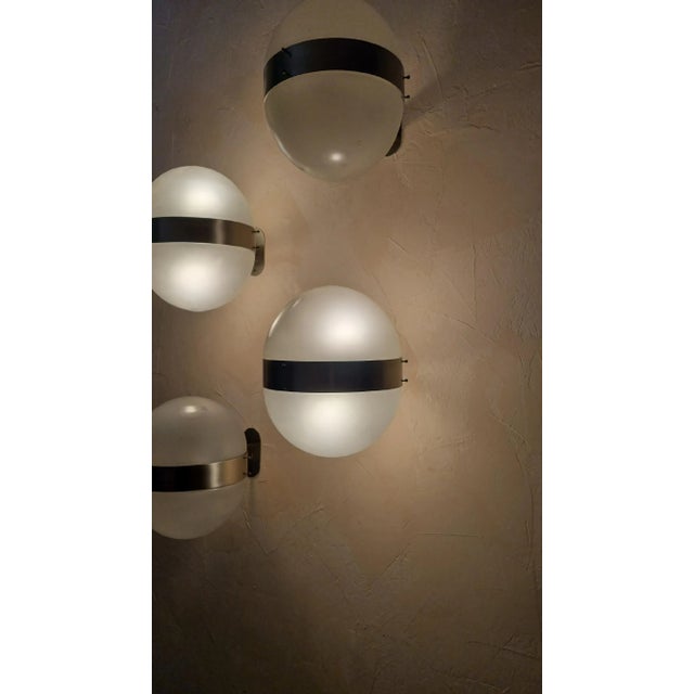 Artemide Clio Wall Sconces by Sergio Mazza for Artemide, 1963, Set of 4 For Sale - Image 4 of 7