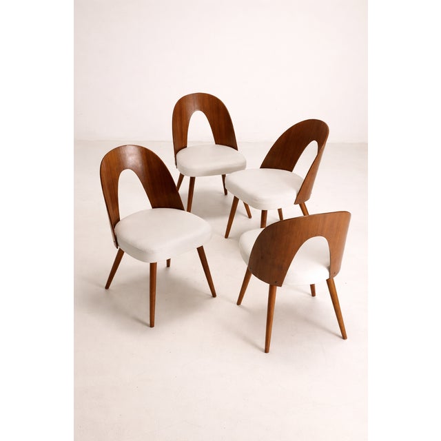 Wood Dining Chairs from Antonín Šuman, Czechoslovakia, 1960s, Set of 4 For Sale - Image 7 of 7