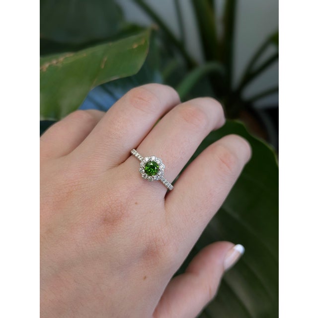 A demantoid garnet glows in a vivid grass green at the centre of this solid 14K white gold ring, encircled by twenty-six...