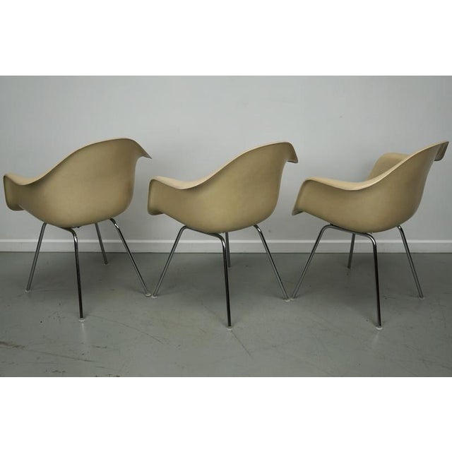 Vintage Parchment Fiberglass Dax Armhairs by Charles & Ray Eames, Set of 3 For Sale - Image 15 of 18