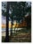 Evening Falls Nature Theme Acrylic Painting 5" X 7" Wall Art Decor Unframed For Sale - Image 6 of 7